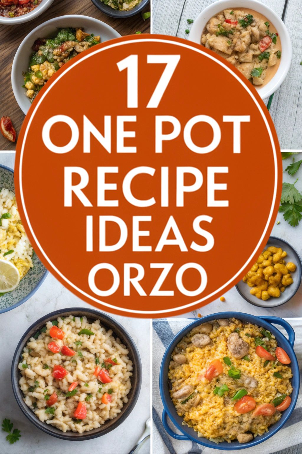 One Pot Recipe Ideas Orzo