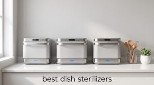 best dish sterilizers