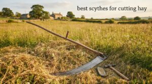 best scythes for cutting hay