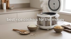 best rice cookers for the money
