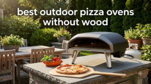 best outdoor pizza ovens without wood