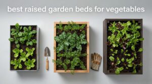 best raised garden beds for vegetables