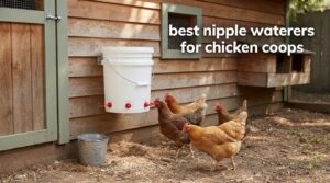best nipple waterers for chicken coops